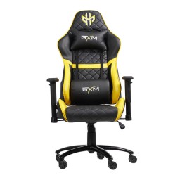 صندلی گیمینگ جی ایکس ام GXM Vespiary