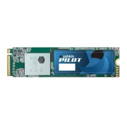 اس اس دی ماشکین PILOT M.2 2280 PCIe NVMe 500GB