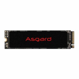 اس اس دی آسگارد AN2 M.2 2280 NVMe 250GB