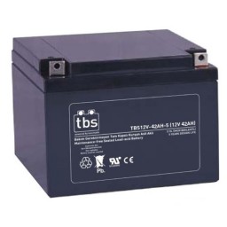 باتری یو پی اس TBS 12V-42AH