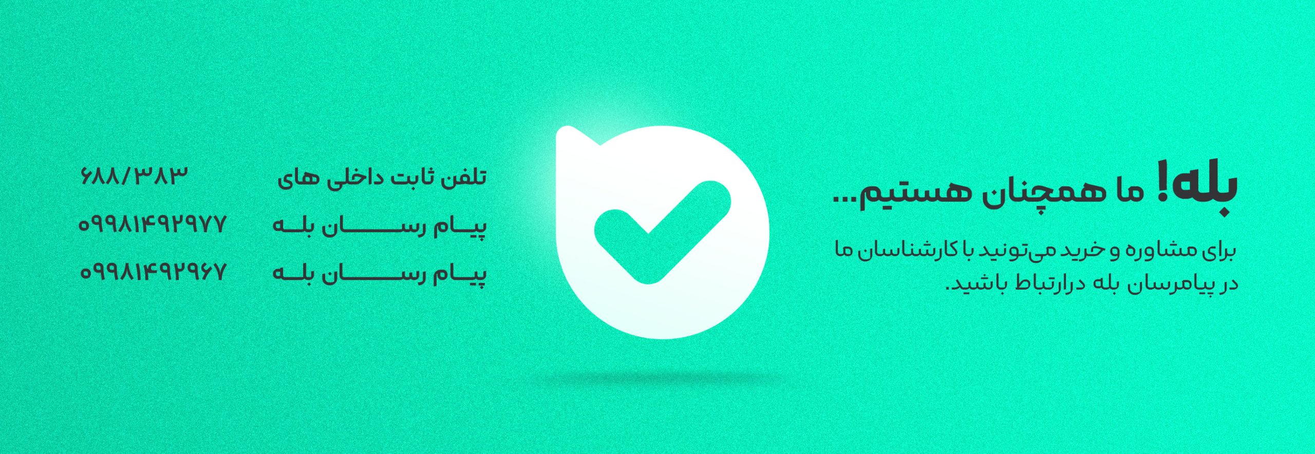 ارتباط با لیون کامپیوتر